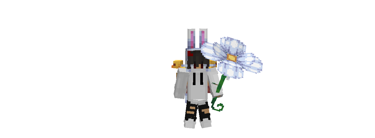 Cosmetic Preview 2